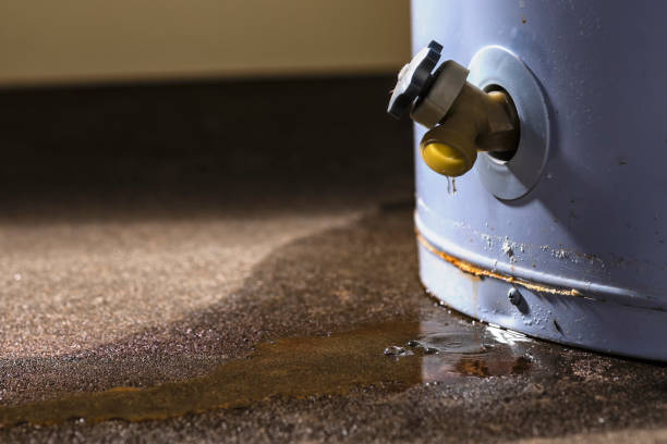 Best Professional water damage repair  in Oak Grove, MO