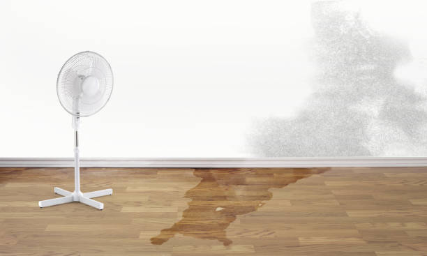Best Flood damage cleanup  in Oak Grove, MO