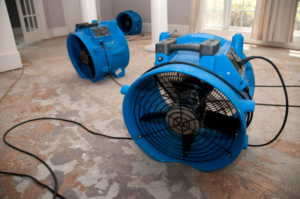 Best 24-hour water damage restoration  in Oak Grove, MO
